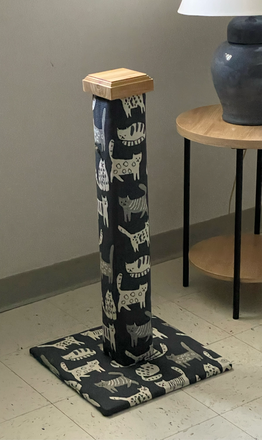Worlds best cat scratch post