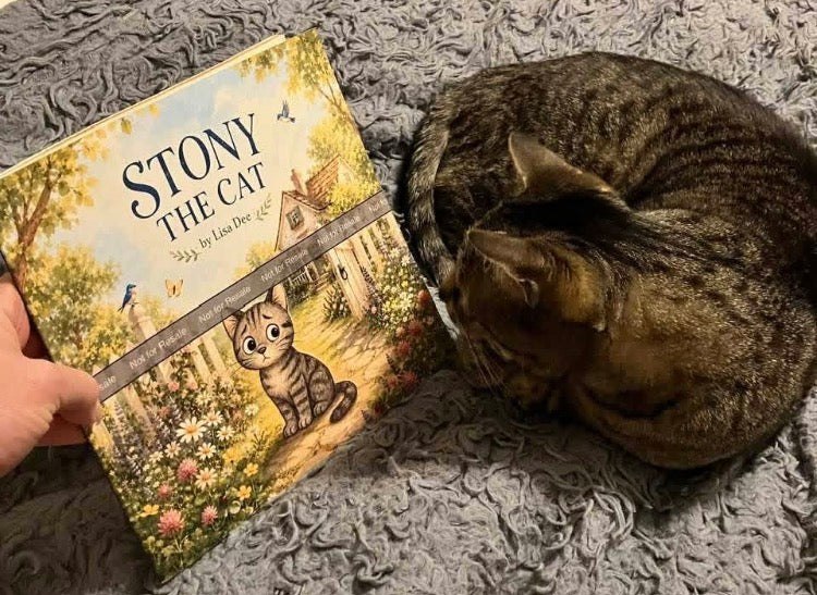 Stony The Cat Children's Book